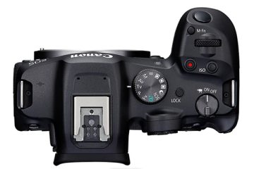 Canon EOS R7 - Photo Review