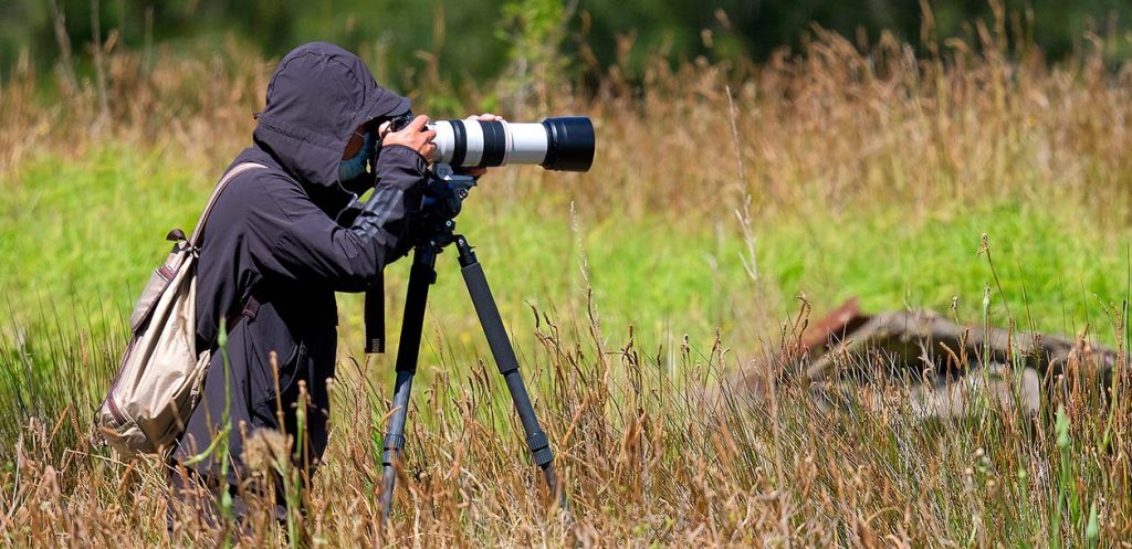 An introduction to bird photography - ethical considerations and how to avoid birds that swoop.