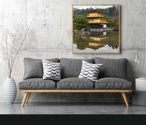 Match your images to the right media