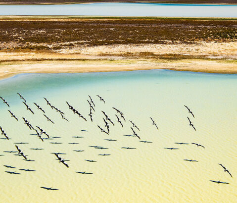 Museum pieces for the future