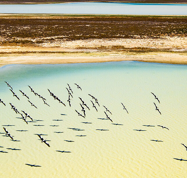 Museum pieces for the future