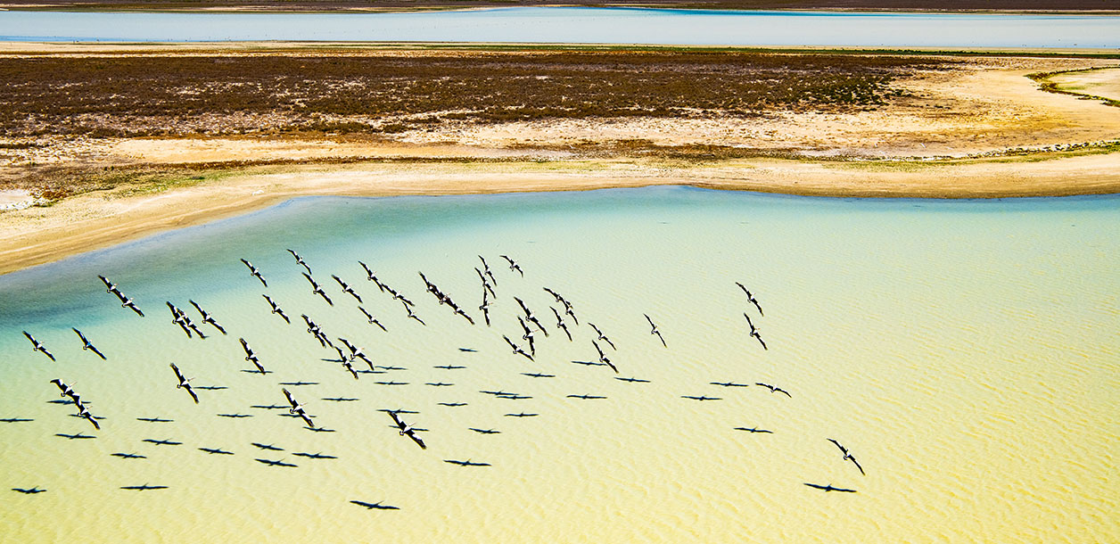 Museum pieces for the future