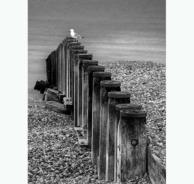 B&W photo shooting tips